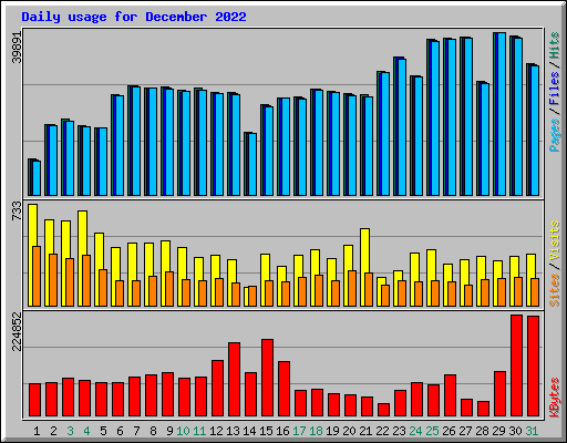 Daily usage for December 2022