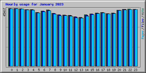 Hourly usage for January 2023