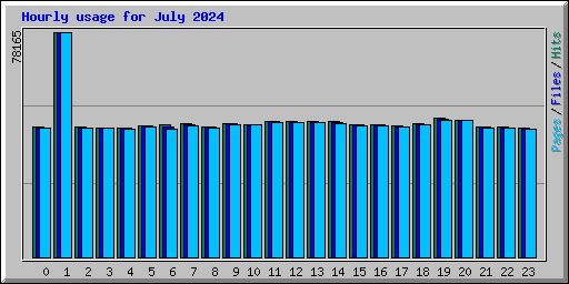 Hourly usage for July 2024