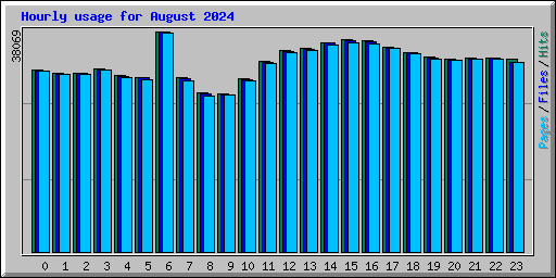 Hourly usage for August 2024