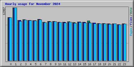 Hourly usage for November 2024