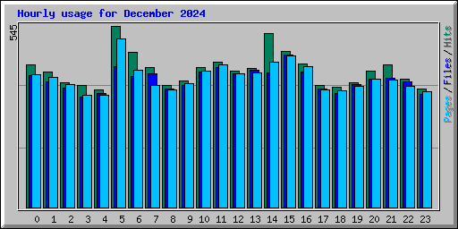 Hourly usage for December 2024